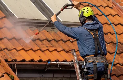 Démoussage et hydrofuge de toiture au Pizou